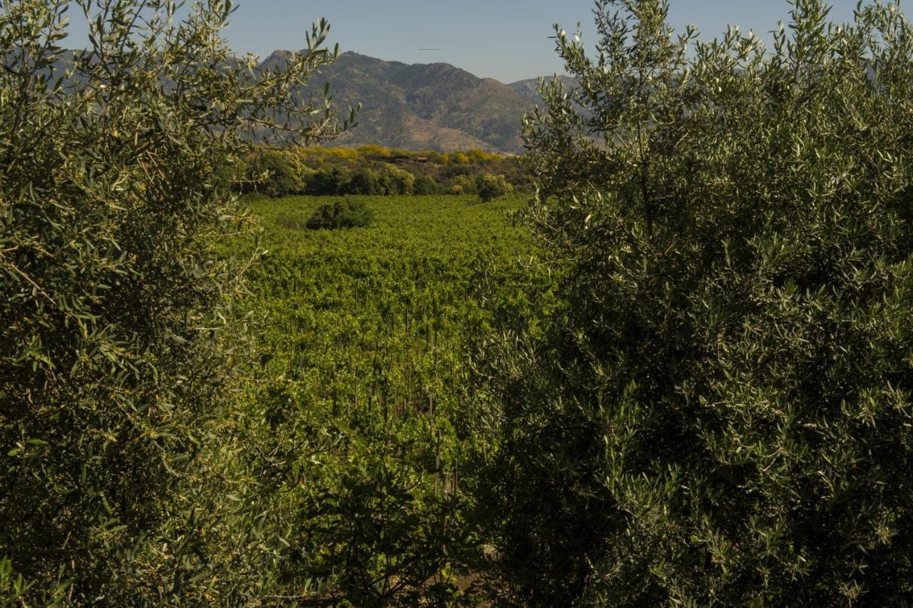 Tenuta Di Fessina Кастільйоне-ді-Сицилія Екстер'єр фото